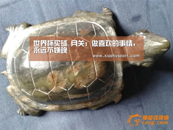 世界杯买球_月关:做喜欢的事情,永远不嫌晚(图2) 2026世界杯投注站官网