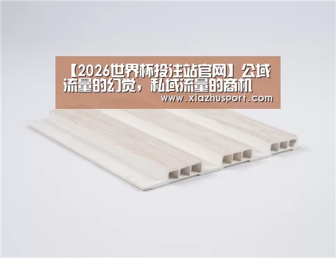 【2026世界杯投注站官网】公域流量的幻觉,私域流量的商机(图3) 2026世界杯投注站官网