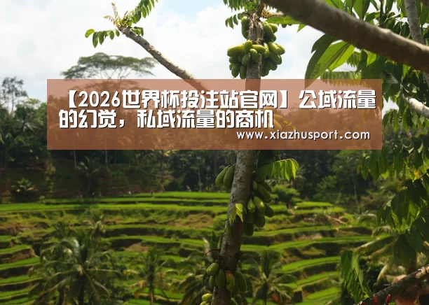 【2026世界杯投注站官网】公域流量的幻觉,私域流量的商机(图2) 世界杯买球