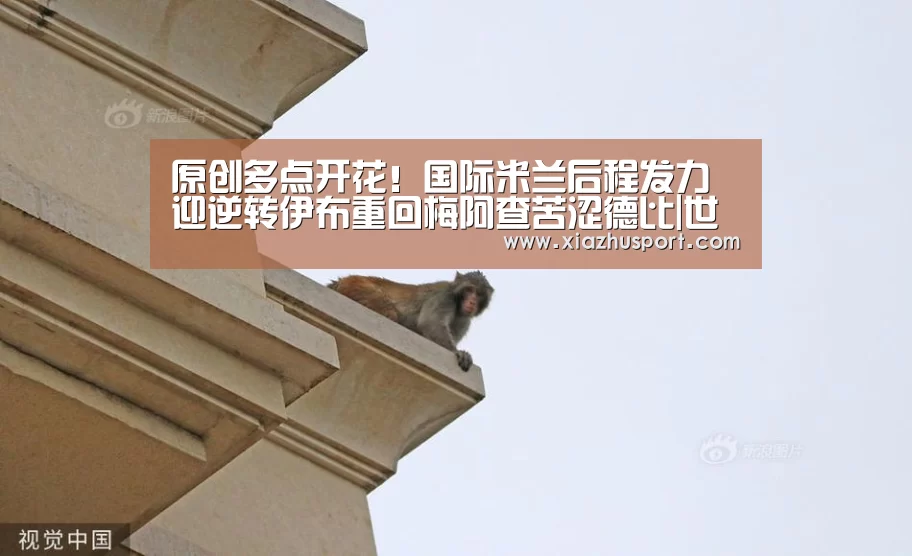 原创多点开花!国际米兰后程发力迎逆转伊布重回梅阿查苦涩德比|世界杯下注官网(图1) 世界杯买球