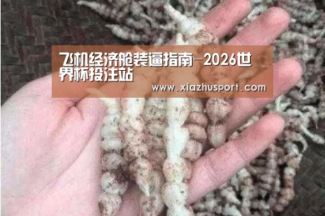 飞机经济舱装逼指南-2026世界杯投注站(图4) 世界杯买球