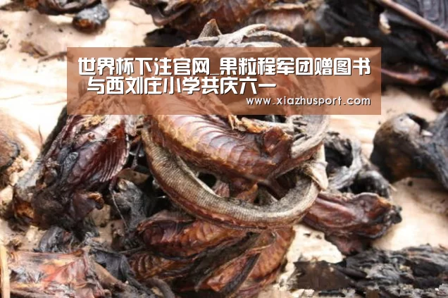 世界杯买球