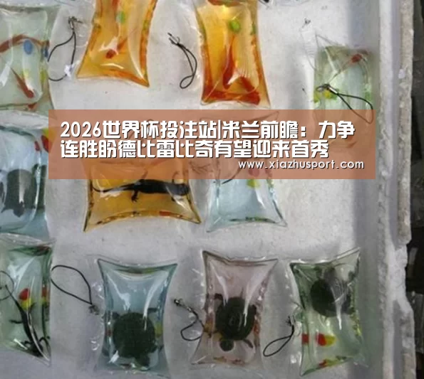 2026世界杯投注站|米兰前瞻:力争连胜盼德比雷比奇有望迎来首秀(图1) 2026世界杯投注站官网