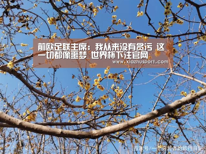 前欧足联主席:我从来没有贪污 这一切都像噩梦_世界杯下注官网(图1) 2026世界杯投注站官网