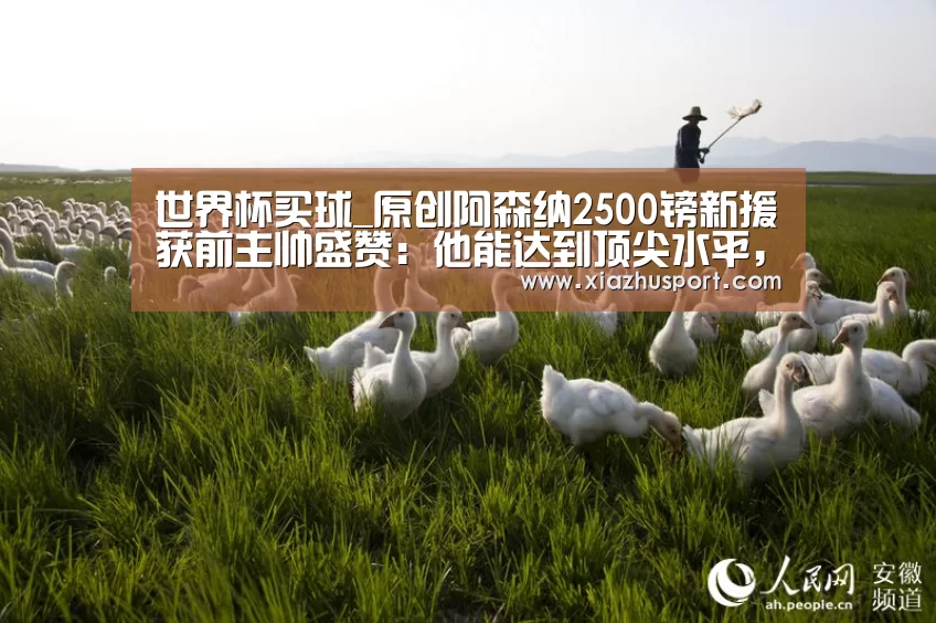 世界杯买球_原创阿森纳2500镑新援获前主帅盛赞:他能达到顶尖水平,和范迪克一样成功(图1) 2026世界杯投注站官网