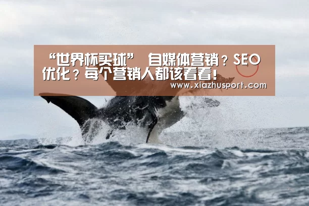 “世界杯买球”
自媒体营销?SEO优化?每个营销人都该看看!(图1) 2026世界杯投注站