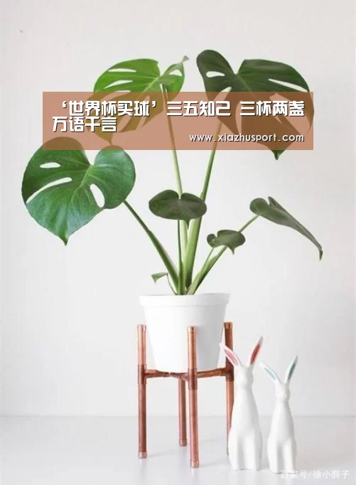 ‘世界杯买球’三五知己 三杯两盏 万语千言(图1) 2026世界杯投注站官网
