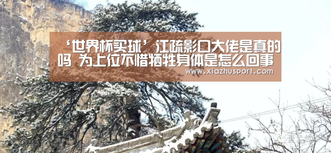 ‘世界杯买球’江疏影口大佬是真的吗 为上位不惜牺牲身体是怎么回事(图4) 世界杯买球