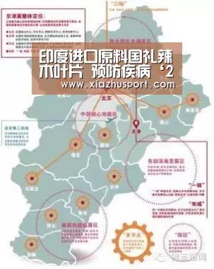 印度进口原料国礼辣木叶片 预防疾病‘2026世界杯投注站官网’(图1) 2026世界杯投注站