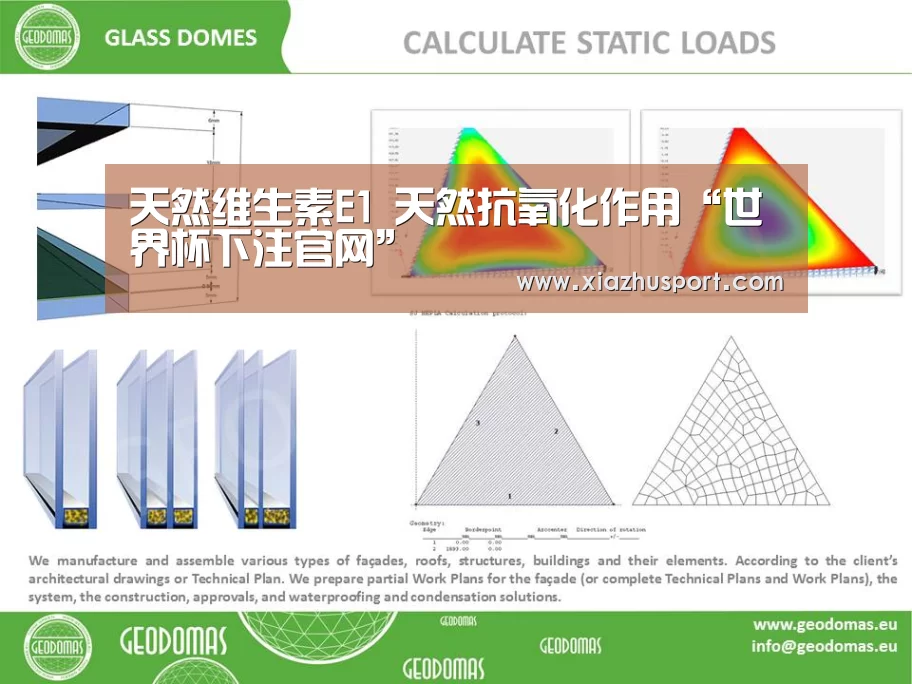 天然维生素E1 天然抗氧化作用“世界杯下注官网”(图3) 世界杯买球