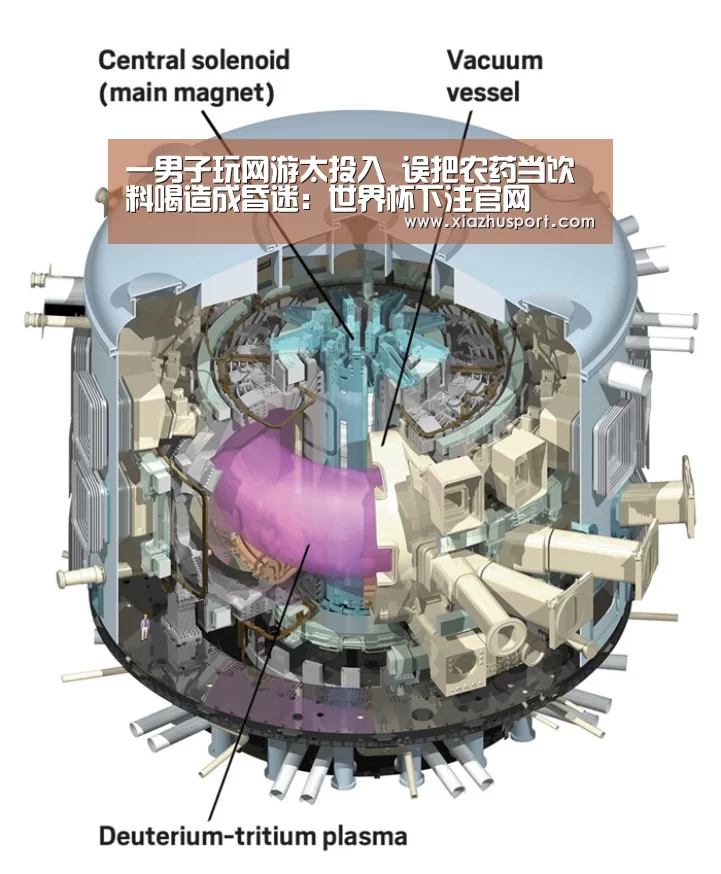 2026世界杯投注站