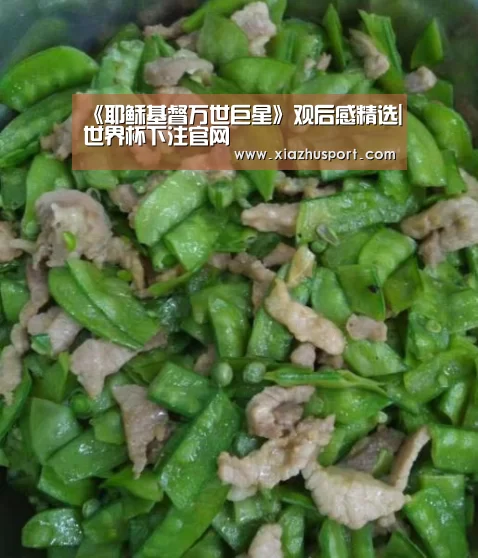 《耶稣基督万世巨星》观后感精选|世界杯下注官网(图3) 世界杯买球