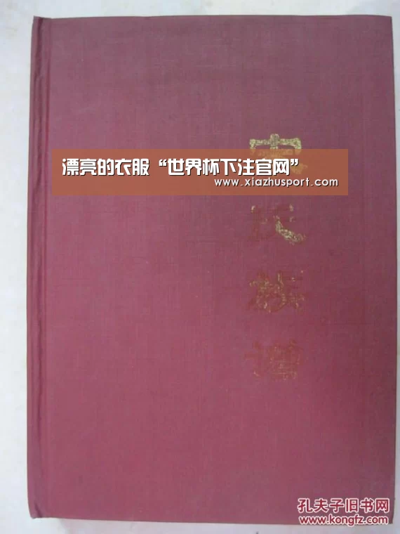 漂亮的衣服“世界杯下注官网”(图4) 2026世界杯投注站